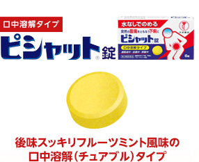 ピシャット錠　後味スッキリフルーツミント風味の口中溶解（チュアブル）タイプ